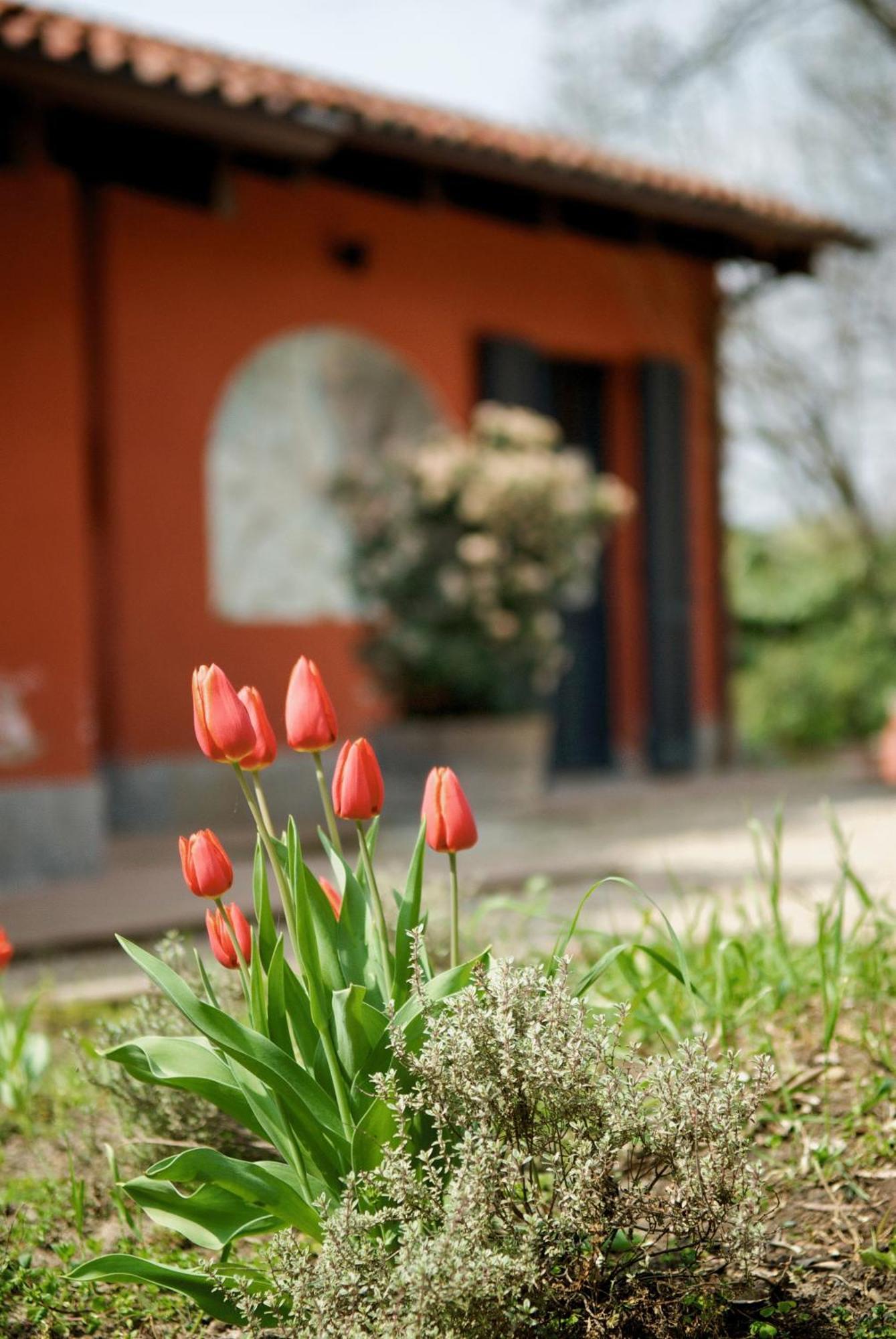 Le Serre Suites & Apartments Moncalieri Eksteriør bilde